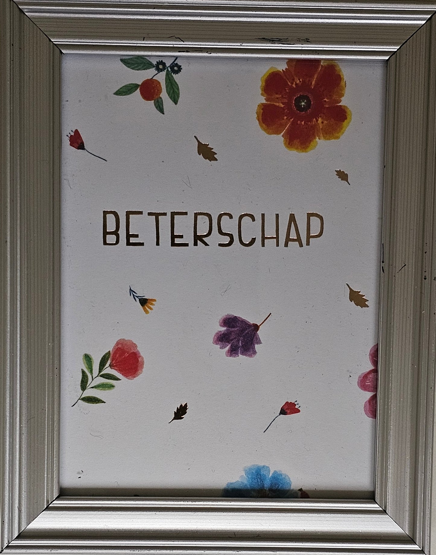 Beterschap FLT002