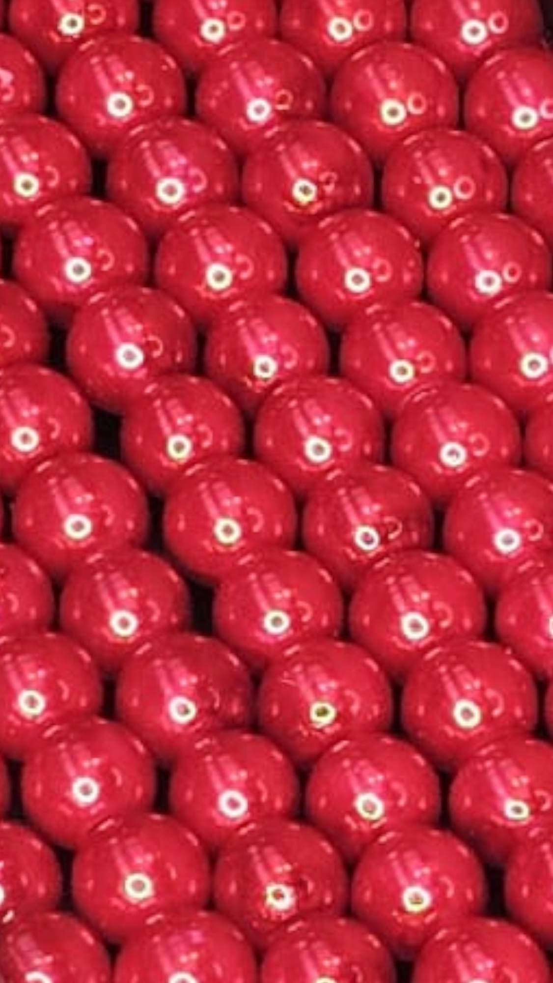 Glasparels rood 8PA22