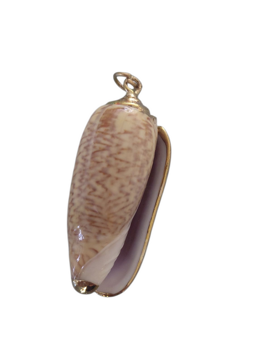 Schelp hanger 297ID52