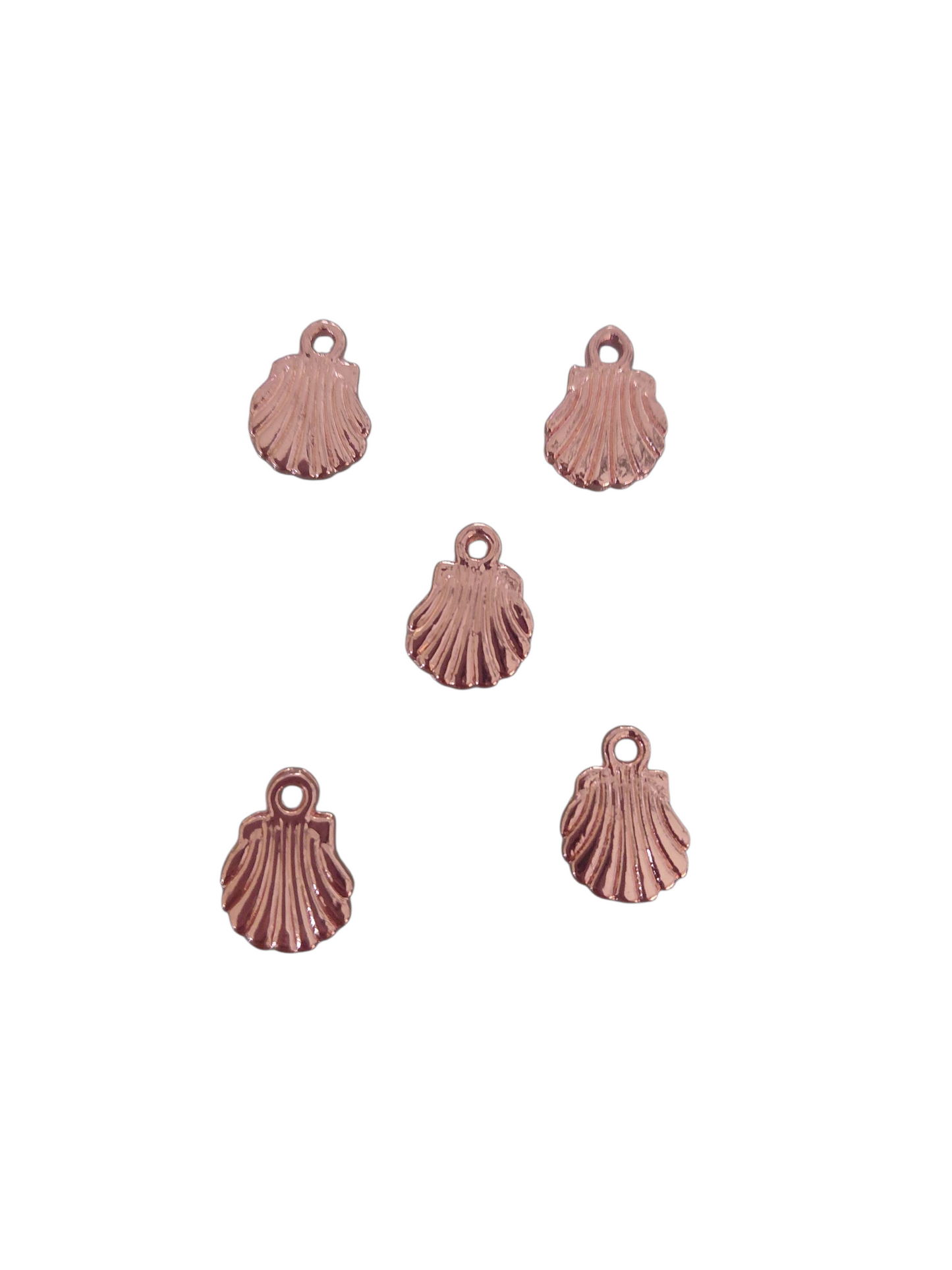 Schelpjes 297ID97